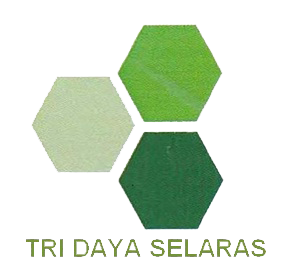Logo TDS